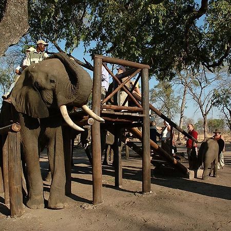Three Cities Thorntree River Lodge Livingstone Bagian luar foto