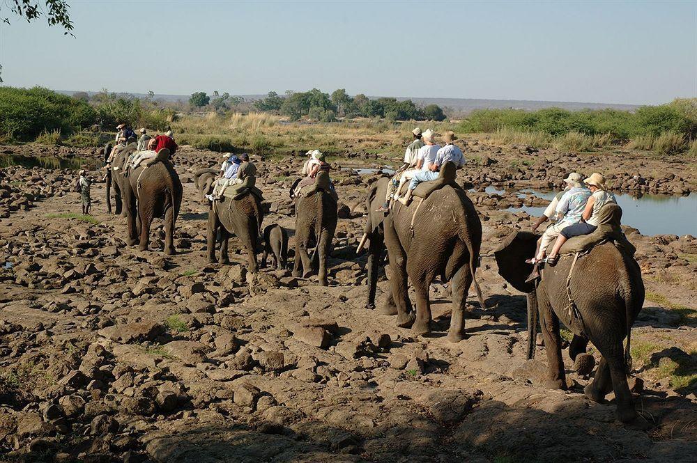 Three Cities Thorntree River Lodge Livingstone Bagian luar foto
