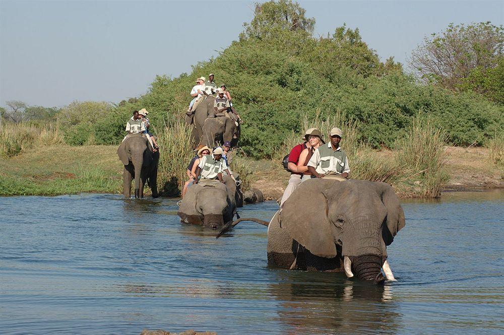 Three Cities Thorntree River Lodge Livingstone Bagian luar foto