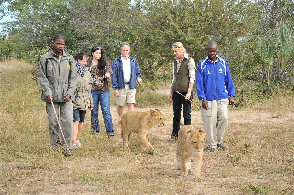 Three Cities Thorntree River Lodge Livingstone Bagian luar foto