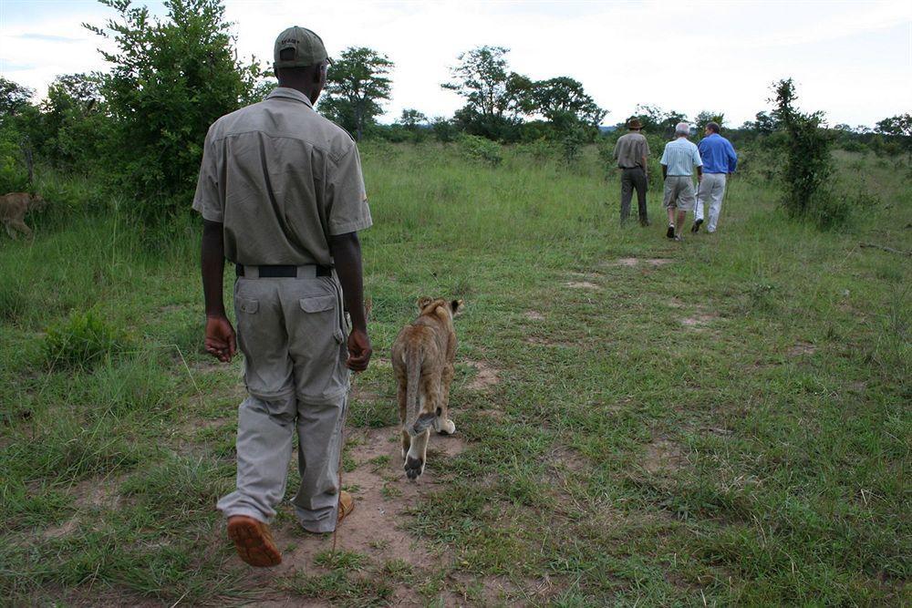 Three Cities Thorntree River Lodge Livingstone Bagian luar foto