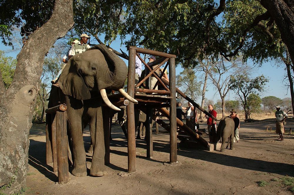 Three Cities Thorntree River Lodge Livingstone Bagian luar foto