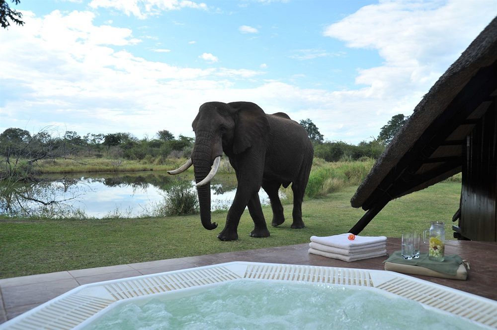 Three Cities Thorntree River Lodge Livingstone Bagian luar foto